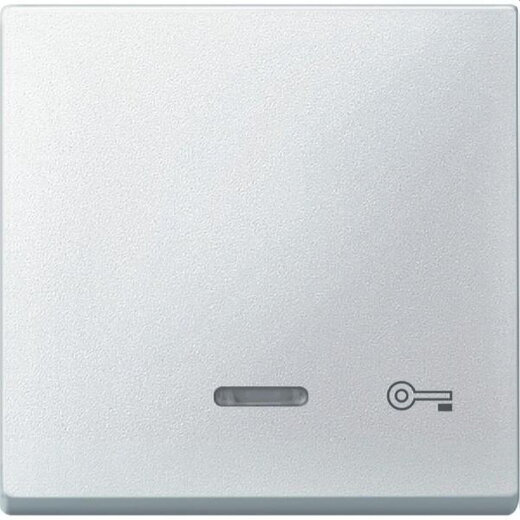 Merten Wippe 430719 polarweiss System M