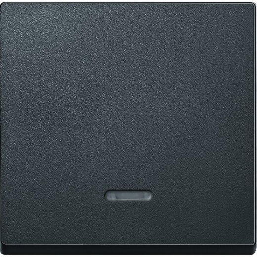 Merten Wippe 431014 anthrazit System M