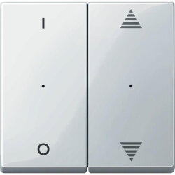 Merten Wippe 619519 polarweiss glaenzend System M