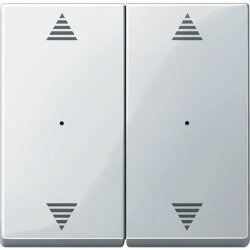 Merten Wippe 619719 polarweiss glaenzend System M