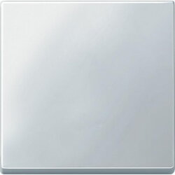 Merten Wippe 433119 polarweiss SYSTEM M