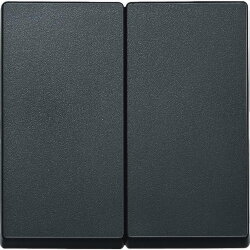 Merten Serienwippe 433514 anthrazit SYSTEM M