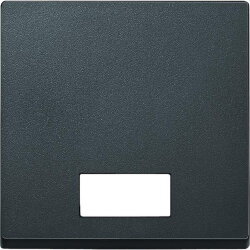 Merten Wippe 433814 anthrazit SYSTEM M