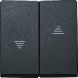 Merten Serienwippe 435514 anthrazit SYSTEM M