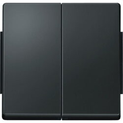 Merten Serienwippe 343514 anthrazit AQUADESIGN