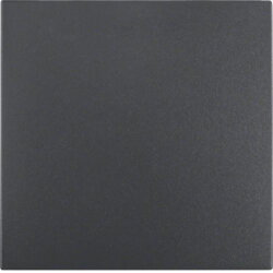 Berker Wippe M316201606 anthrazit matt