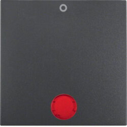 Berker Wippe M316241606 anthrazit matt