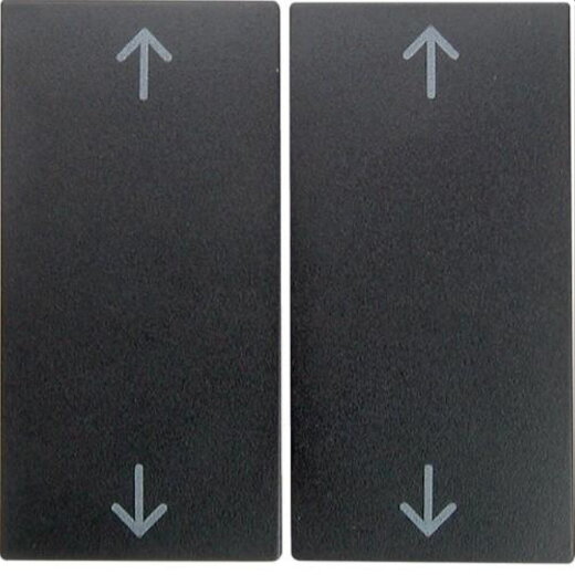 Berker Serienwippe M316441606 Symbol Pfeile anthrazit matt