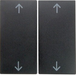 Berker Serienwippe M316441606 Symbol Pfeile anthrazit matt