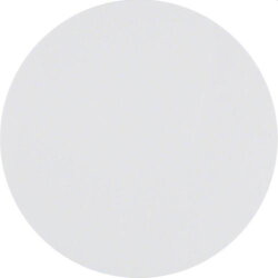 Berker Taste M385141139 1fach polarweiss glaenzend