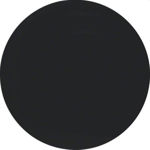 Berker Wippe M316202045 schwarz glaenzend