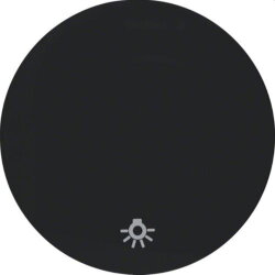 Berker Wippe M316202035 Symbol Licht schwarz glaenzend