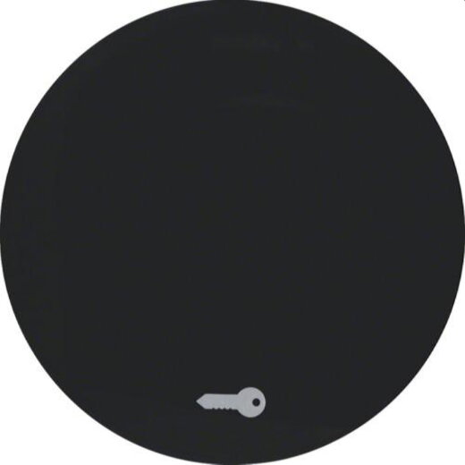 Berker Wippe M316202015 Symbol Tuer schwarz glaenzend