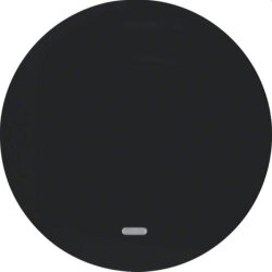 Berker Wippe M316212045 schwarz glaenzend