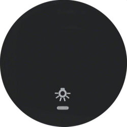 Berker Wippe M316212035 schwarz glaenzend