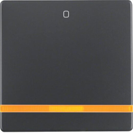 Berker Wippe M316246086 anthrazit samt