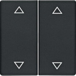 Berker Serienwippe M316446086 Aufdruck Pfeile anthrazit samt