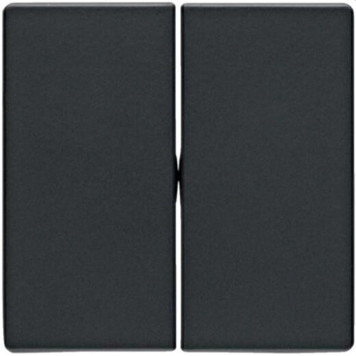 Berker Serienwippe M316236086 Q.1/Q.3 anthrazit samt