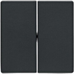 Berker Serienwippe M316236086 Q.1/Q.3 anthrazit samt