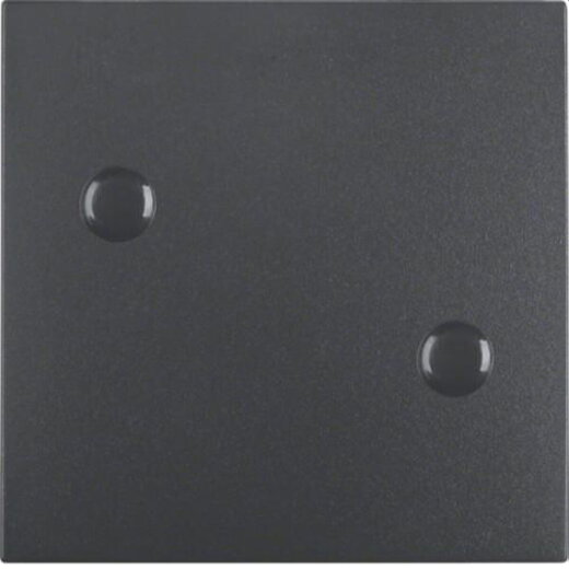 Berker Wippe M315701606 anthrazit matt