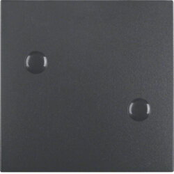 Berker Wippe M315701606 anthrazit matt