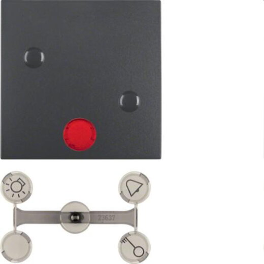 Berker Wippe M315721606 anthrazit matt