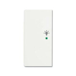 Busch-Jaeger 6231-21-884 2fach Licht Wippe