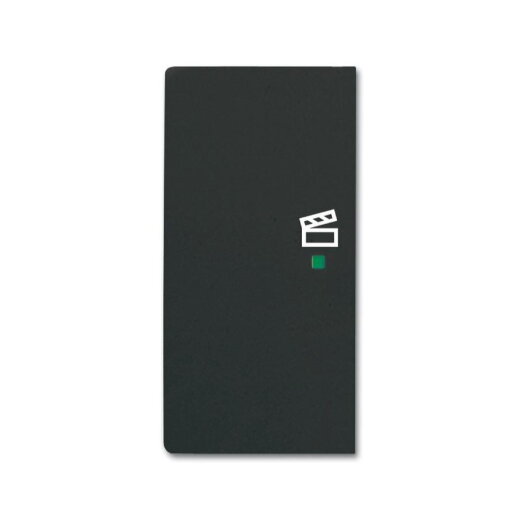 Busch-Jaeger 6233-21-885 2fach Szene Wippe