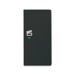 Busch-Jaeger 6233-22-885 2fach Szene Wippe