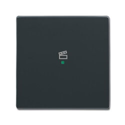 Busch-Jaeger 6233-10-81 1fach Symbol Szene Wippe