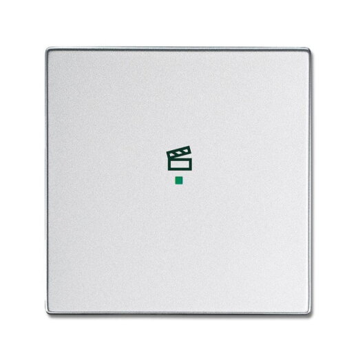 Busch-Jaeger 6233-10-83 1fach Symbol Szene Wippe