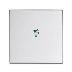 Busch-Jaeger 6233-10-83 1fach Symbol Szene Wippe