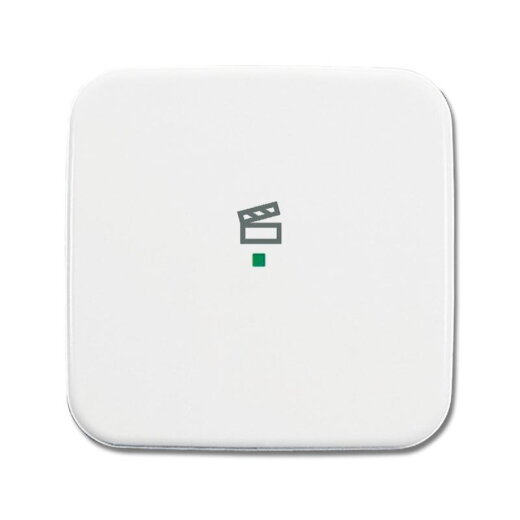 Busch-Jaeger 6233-10-214 1fach Symbol Szene Wippe