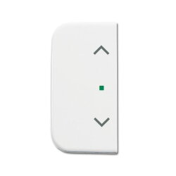 Busch-Jaeger 6232-20-214 2fach Symbol Jalousie Wippe