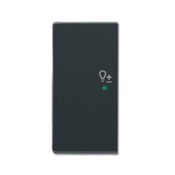 Busch-Jaeger 6234-21-81 2fach links Symbol Dimmer Wippe