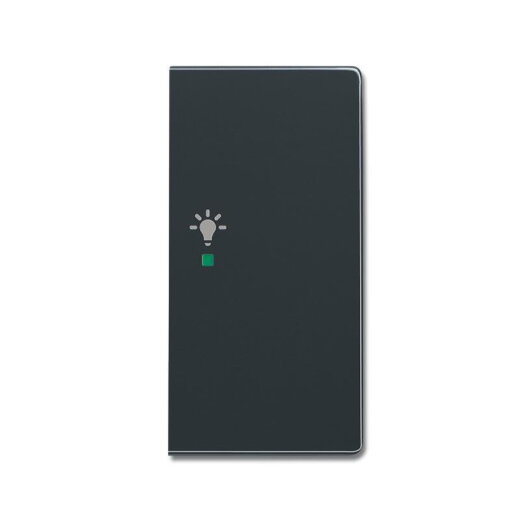 Busch-Jaeger 6231-22-81 2fach rechts Symbol Licht Wippe