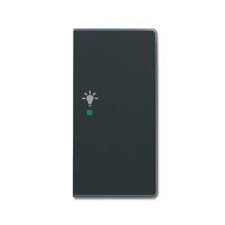 Busch-Jaeger 6231-22-81 2fach rechts Symbol Licht Wippe