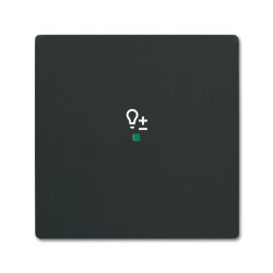 Busch-Jaeger 6234-10-885 1fach Dimmer Wippe