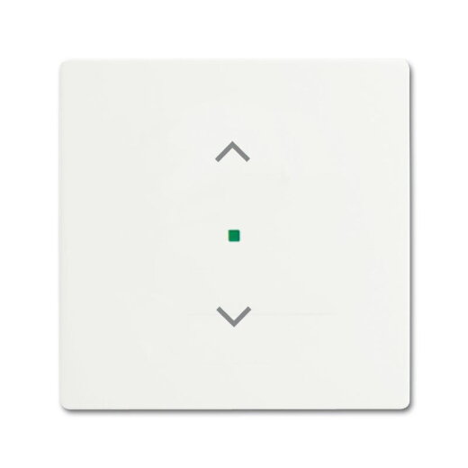 Busch-Jaeger 6232-10-884 1fach Jalousie Wippe