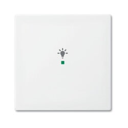 Busch-Jaeger 6231-10-914 1fach Licht Wippe