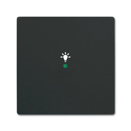 Busch-Jaeger 6231-10-885 1fach Licht Wippe