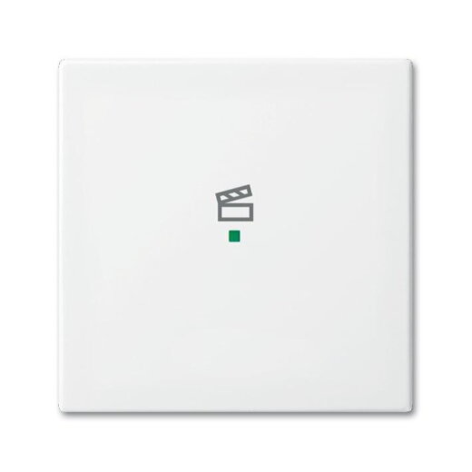 Busch-Jaeger 6233-10-914 1fach Szene Wippe