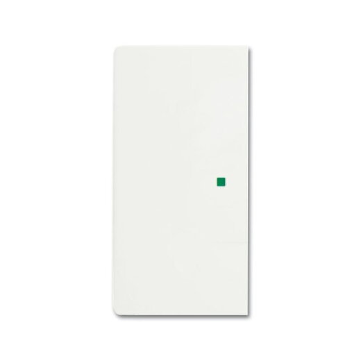 Busch-Jaeger 6230-20-884 2fach Wippe