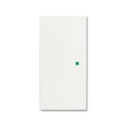 Busch-Jaeger 6230-20-884 2fach Wippe