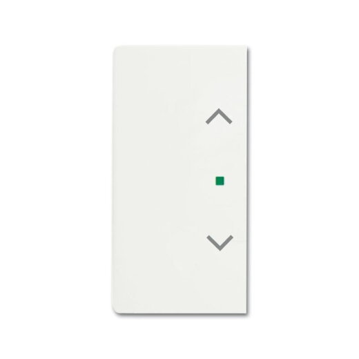 Busch-Jaeger 6232-20-884 2fach Jalousie Wippe