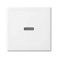 Busch-Jaeger 1789 N-914 Kontroll Wippe