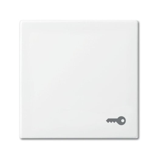 Busch-Jaeger 2520 TR-914 Schluessel Wippe