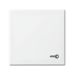 Busch-Jaeger 2520 TR-914 Schluessel Wippe