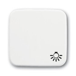 Busch-Jaeger 2520 LI-214 Symbol Licht Wippe