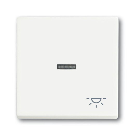 Busch-Jaeger 1789 LI-884 Symbol Licht Wippe